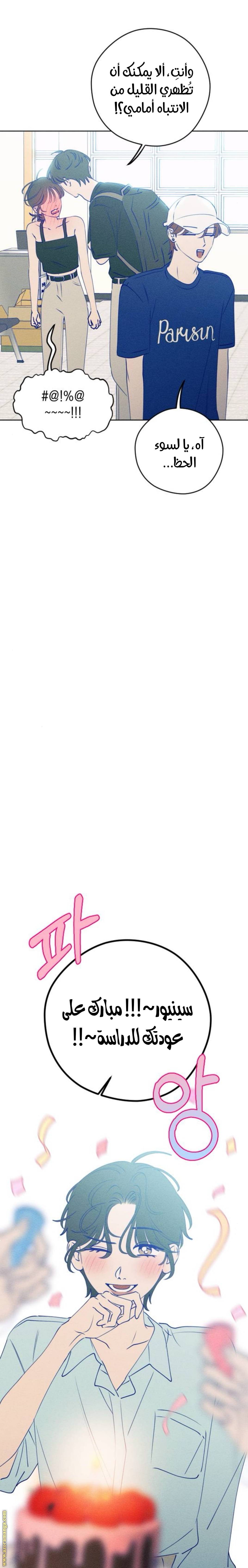 الصفحة 17