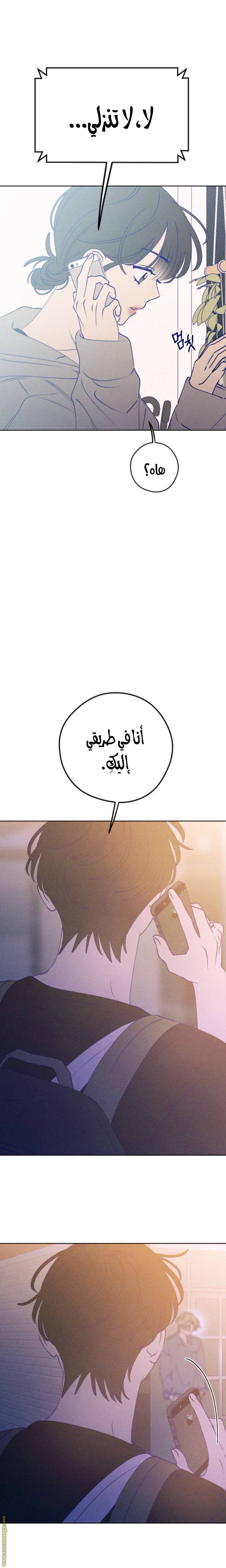 الصفحة 29