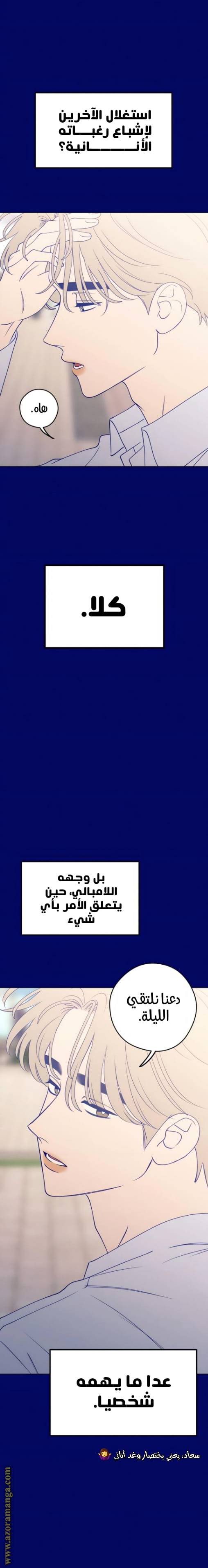 الصفحة 13