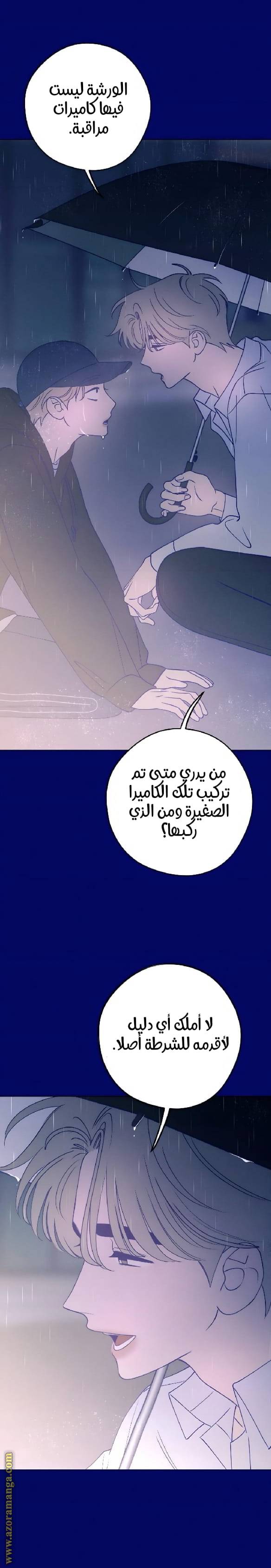 الصفحة 25