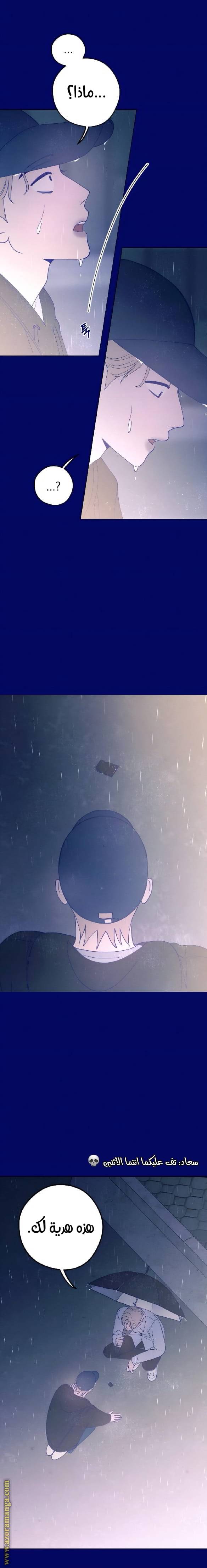 الصفحة 26