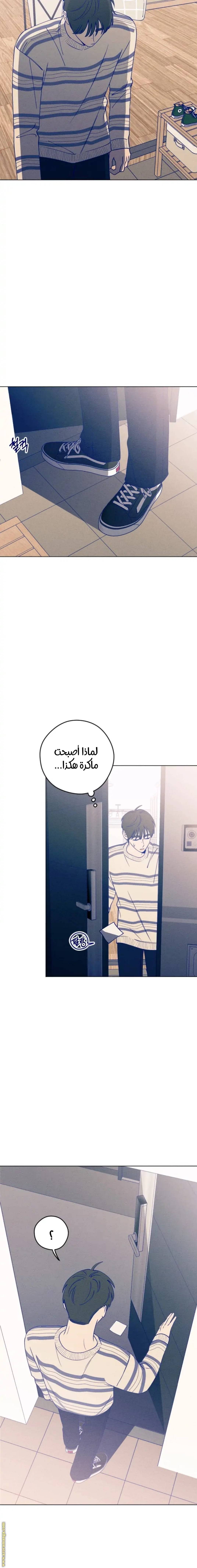 الصفحة 14