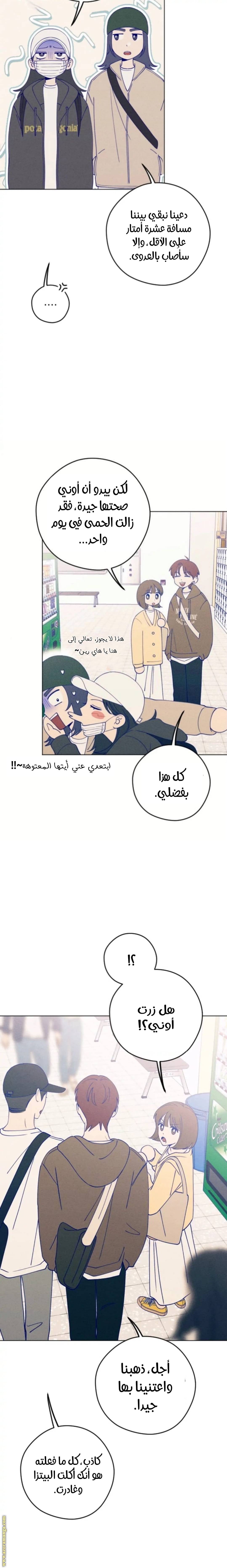 الصفحة 18