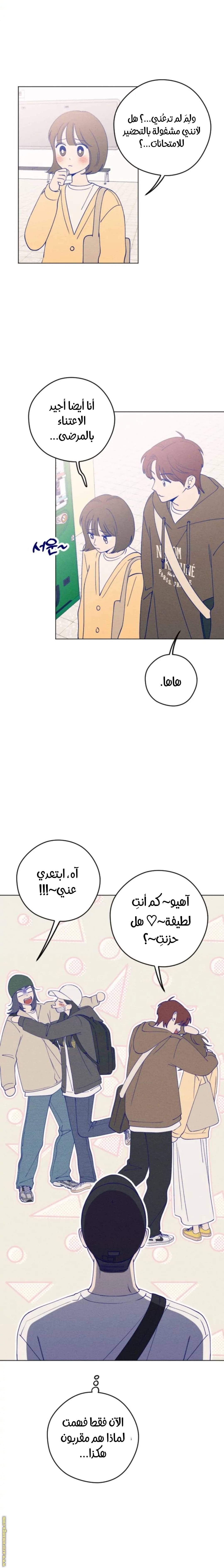 الصفحة 19