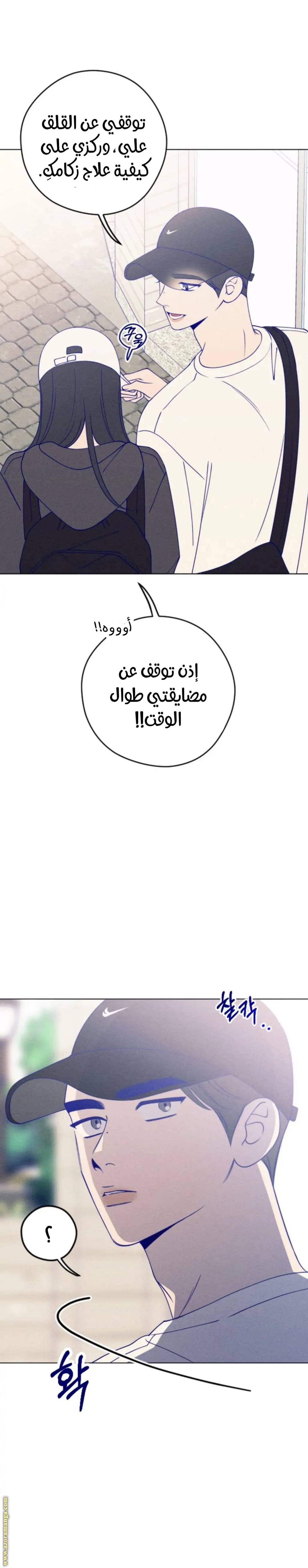 الصفحة 27