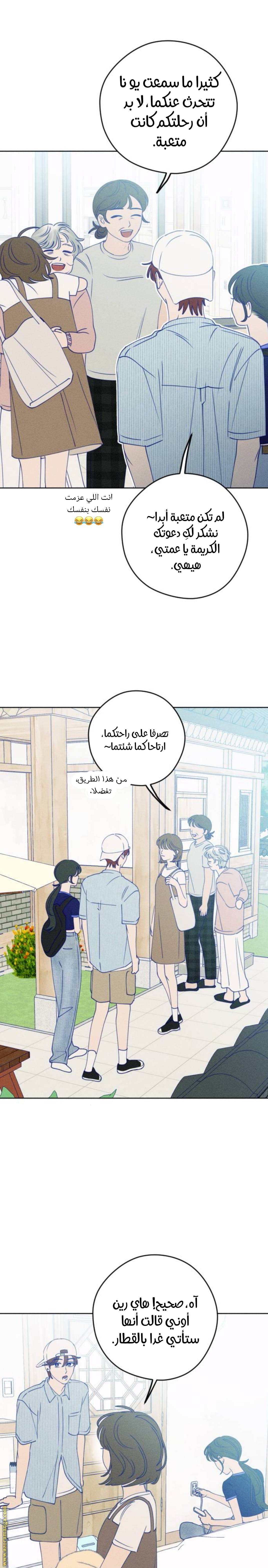 الصفحة 13