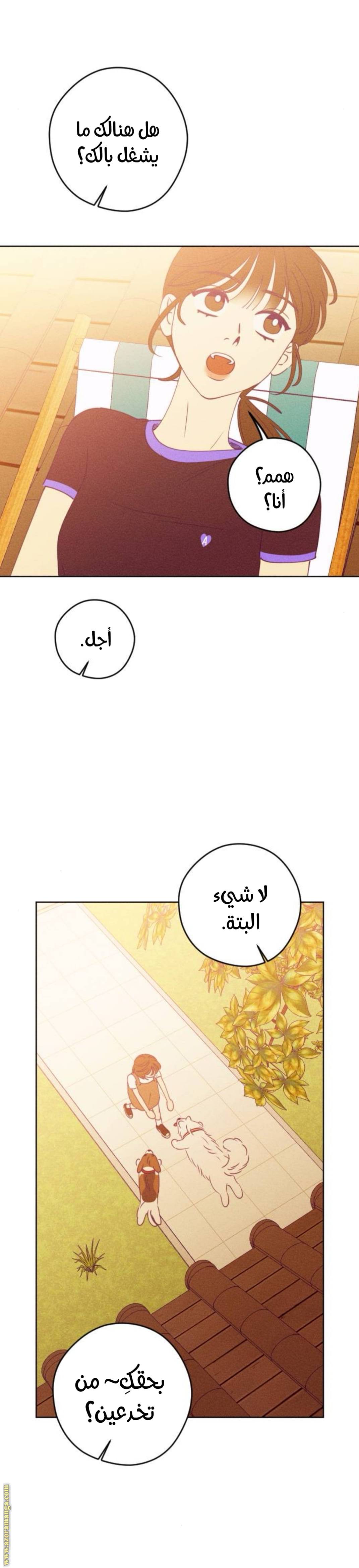 الصفحة 17