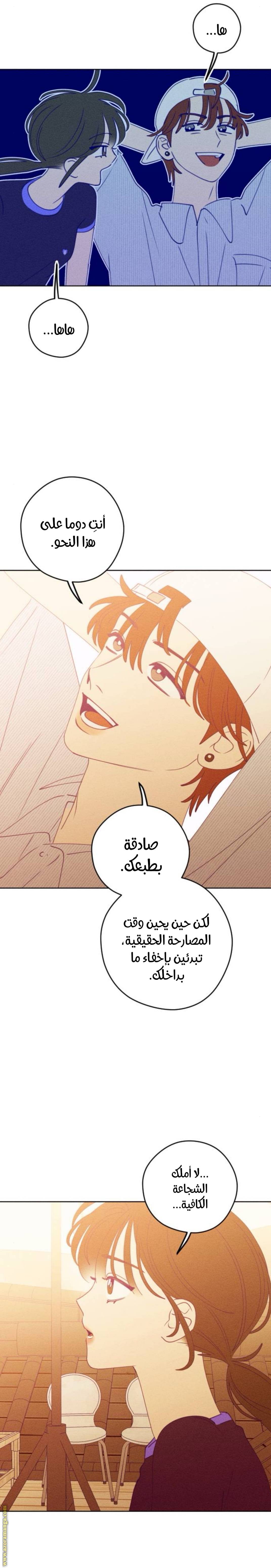 الصفحة 19