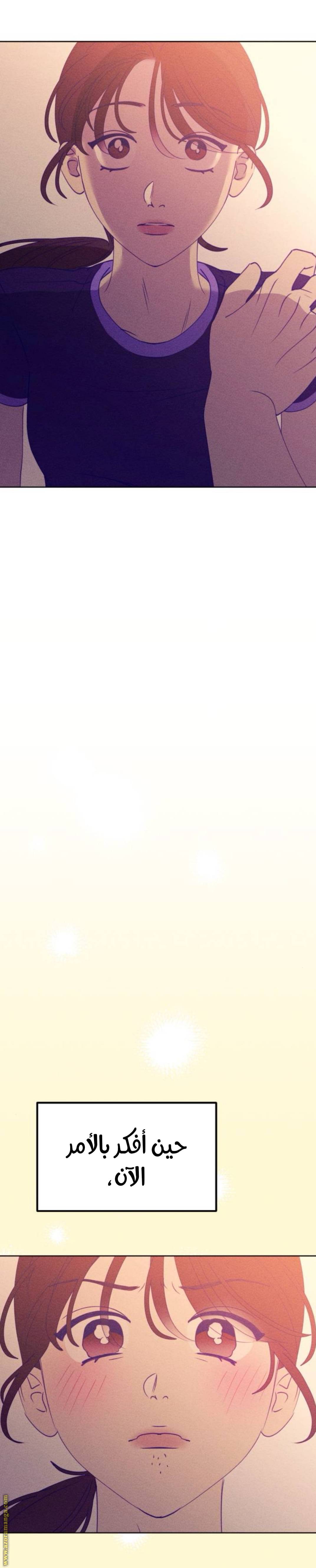 الصفحة 29