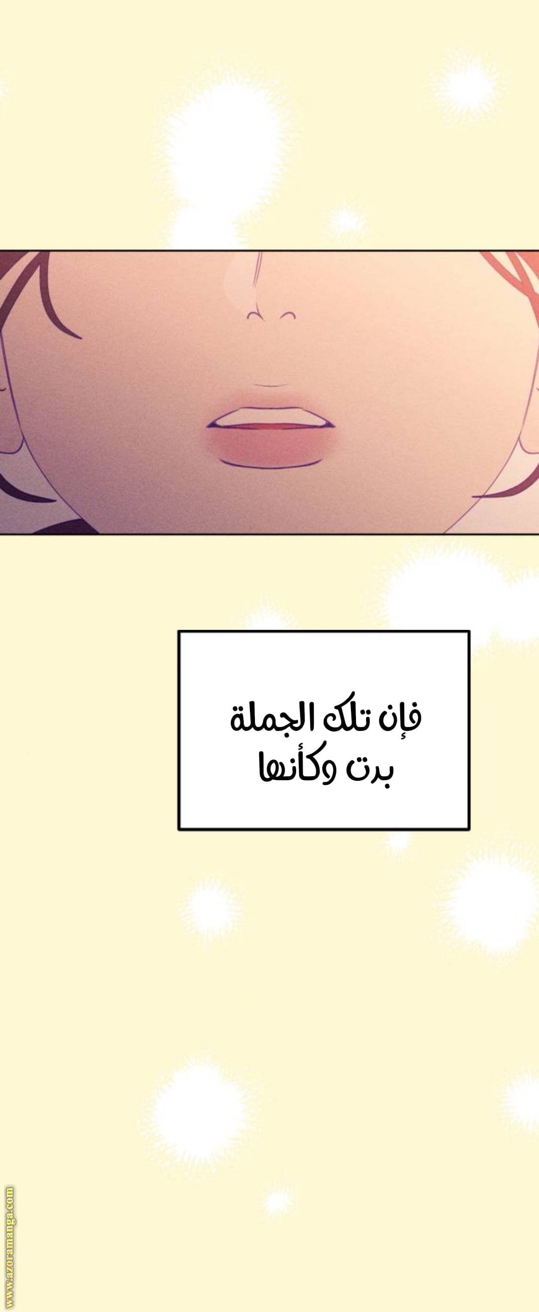 الصفحة 30