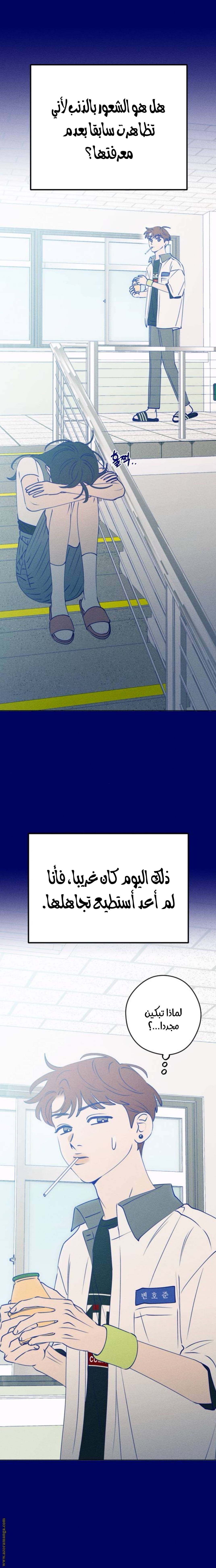الصفحة 15