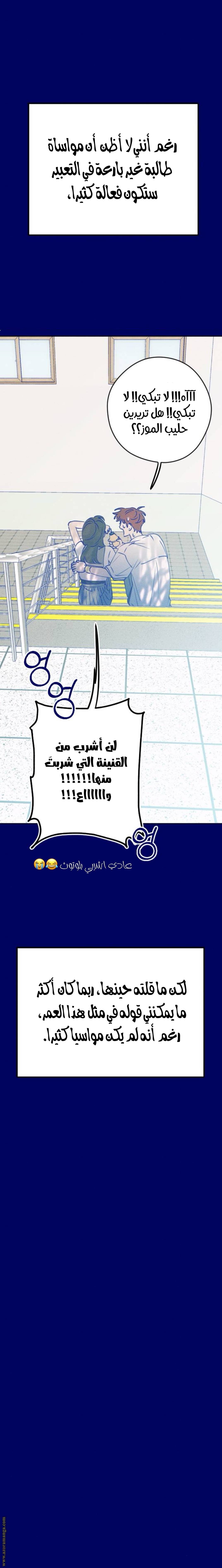 الصفحة 17