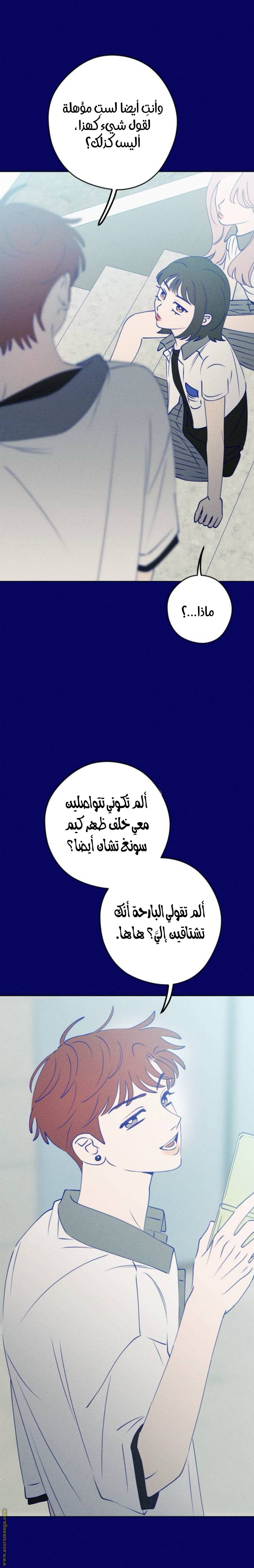 الصفحة 20