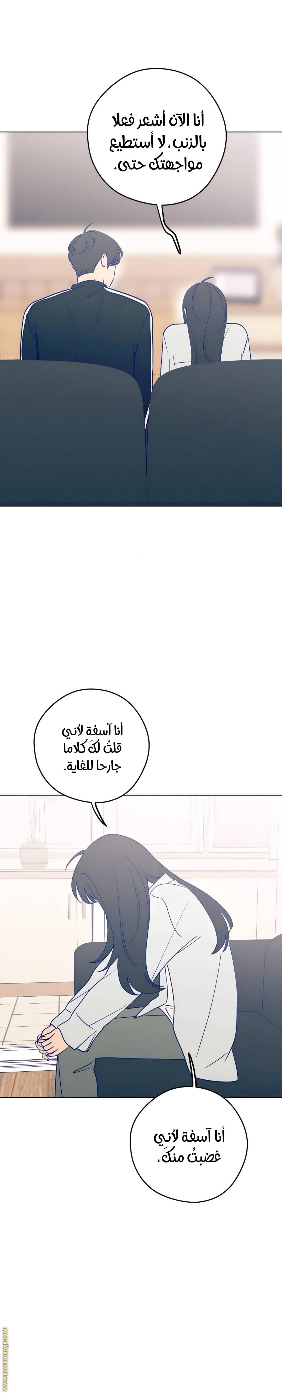 الصفحة 17