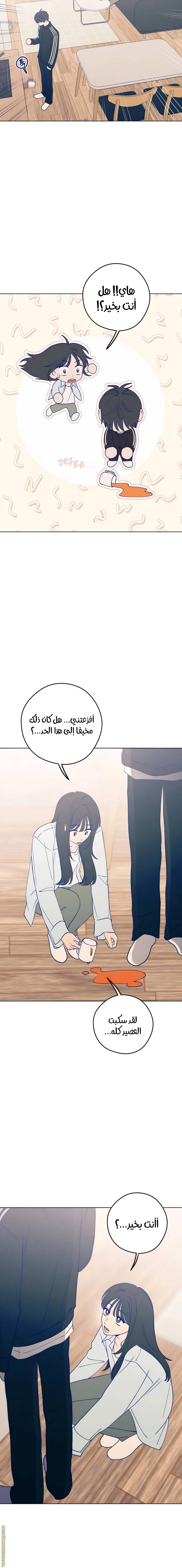 الصفحة 26