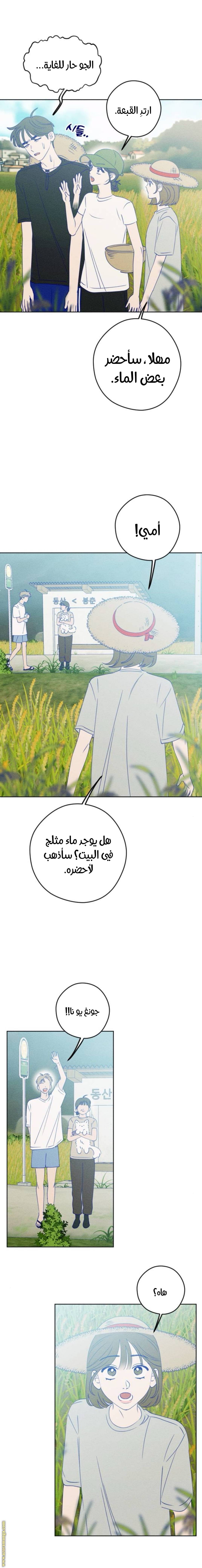 الصفحة 14