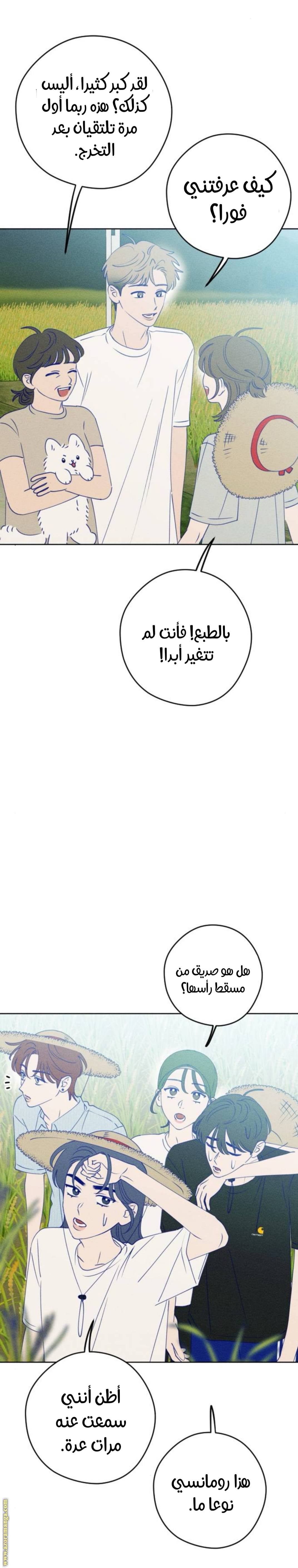 الصفحة 16