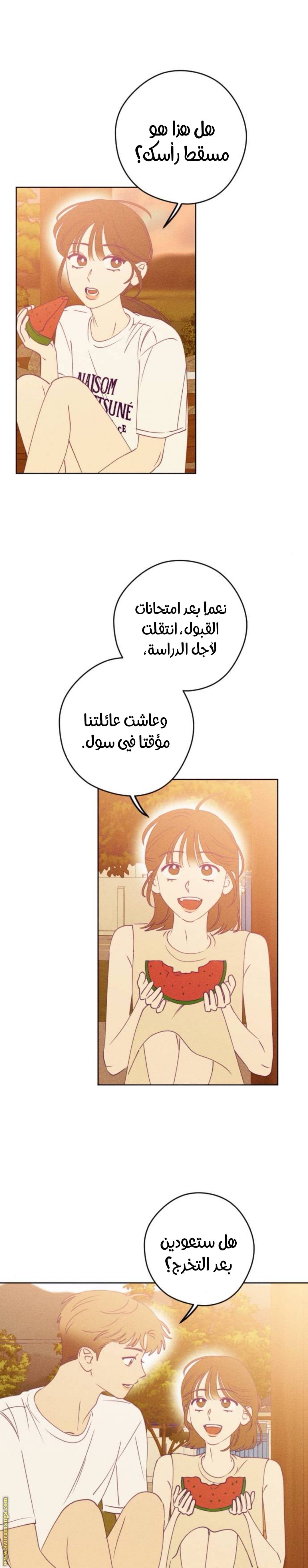 الصفحة 20