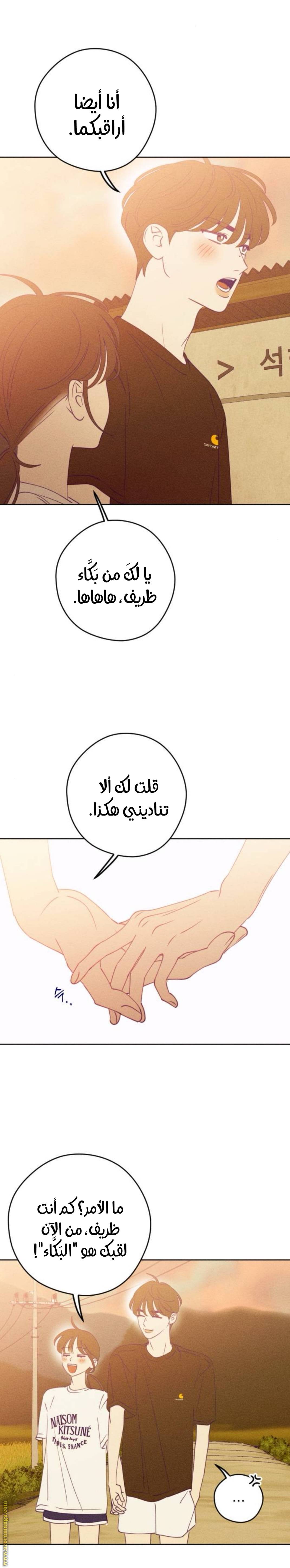 الصفحة 24