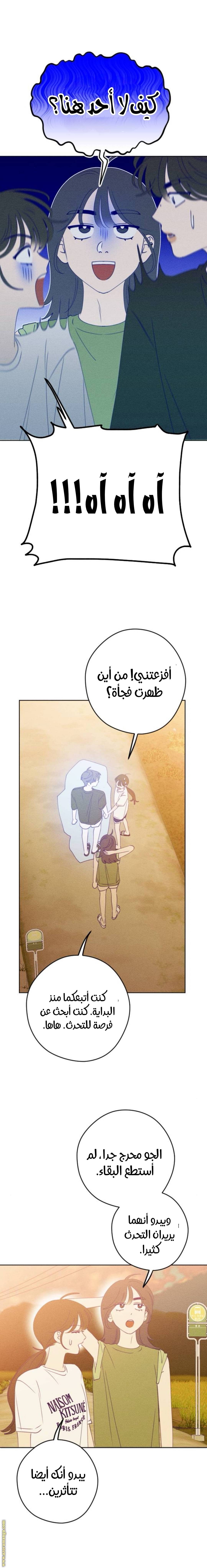 الصفحة 26