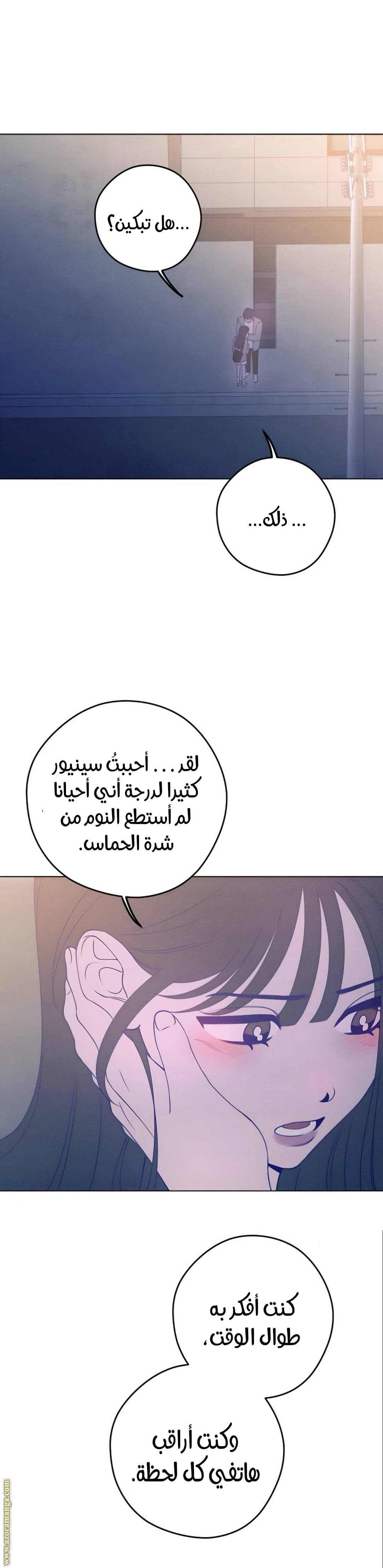 الصفحة 12