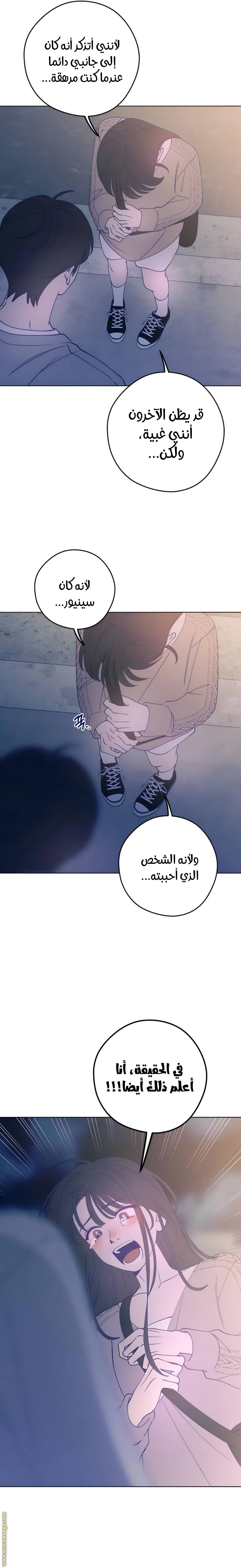الصفحة 14