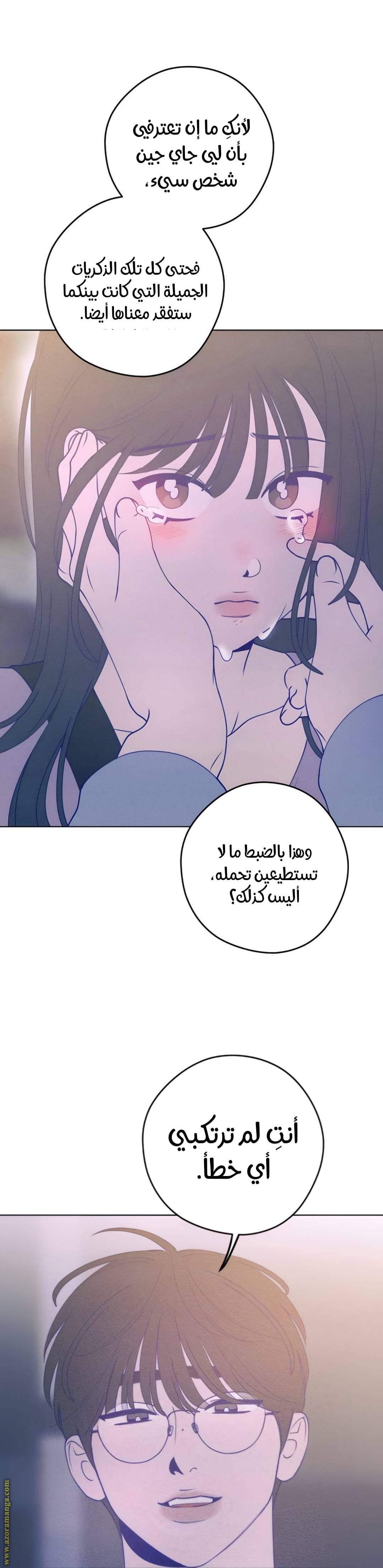 الصفحة 17