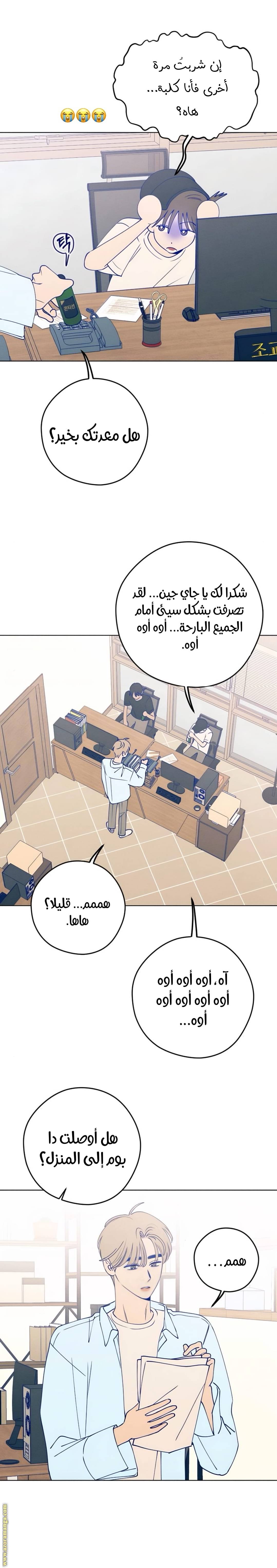 الصفحة 29