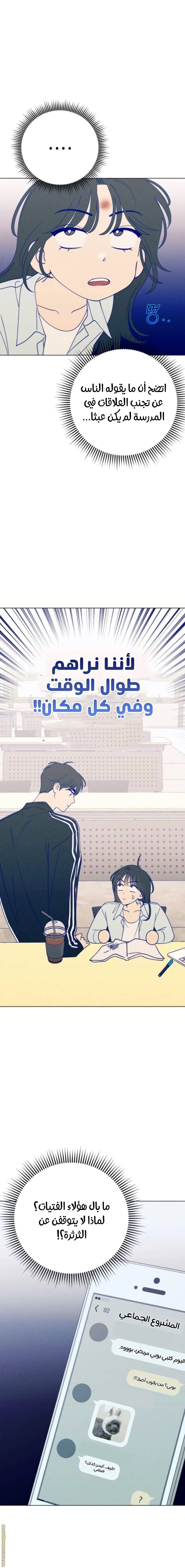 الصفحة 13