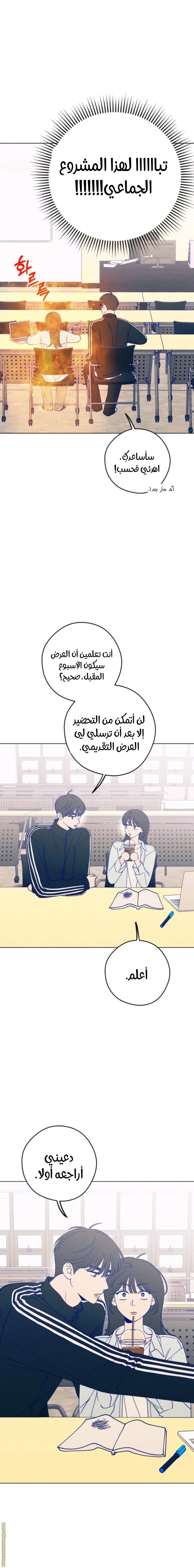 الصفحة 14