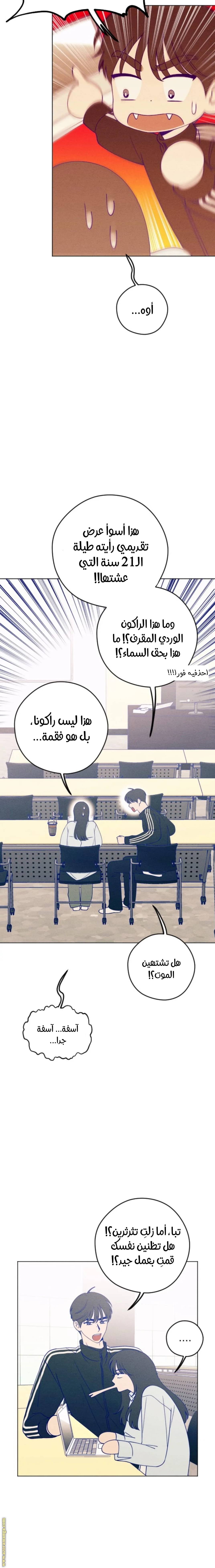 الصفحة 17