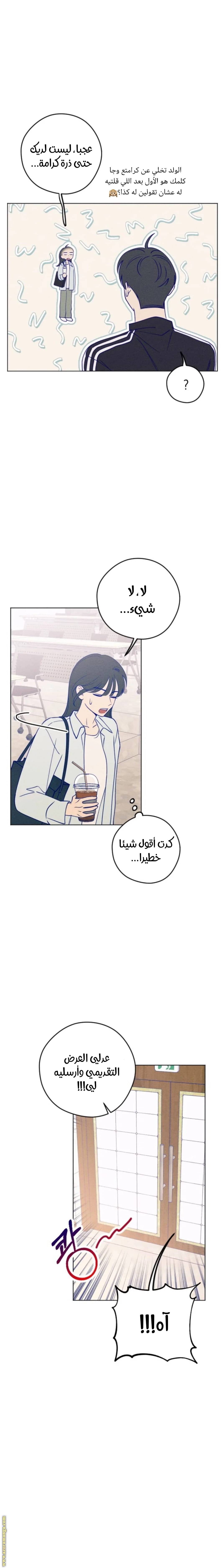 الصفحة 21