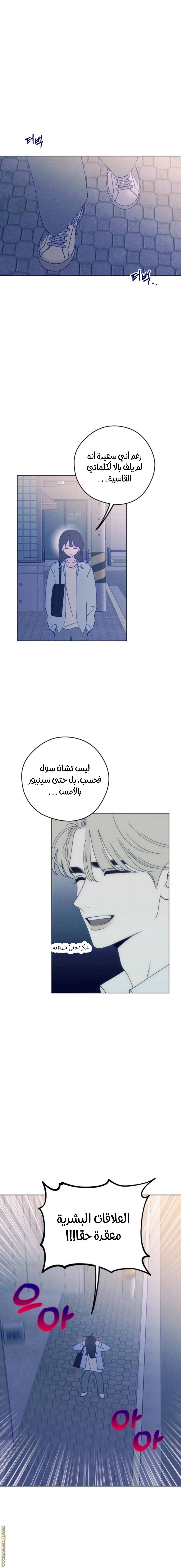 الصفحة 22