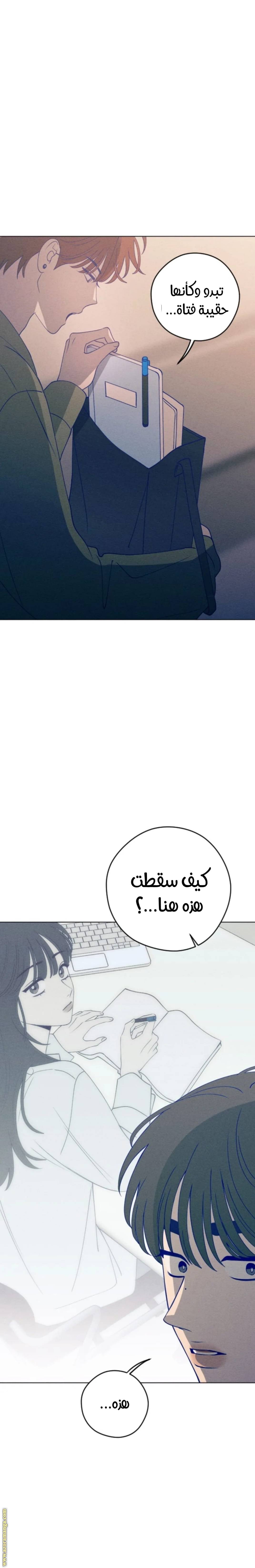 الصفحة 29