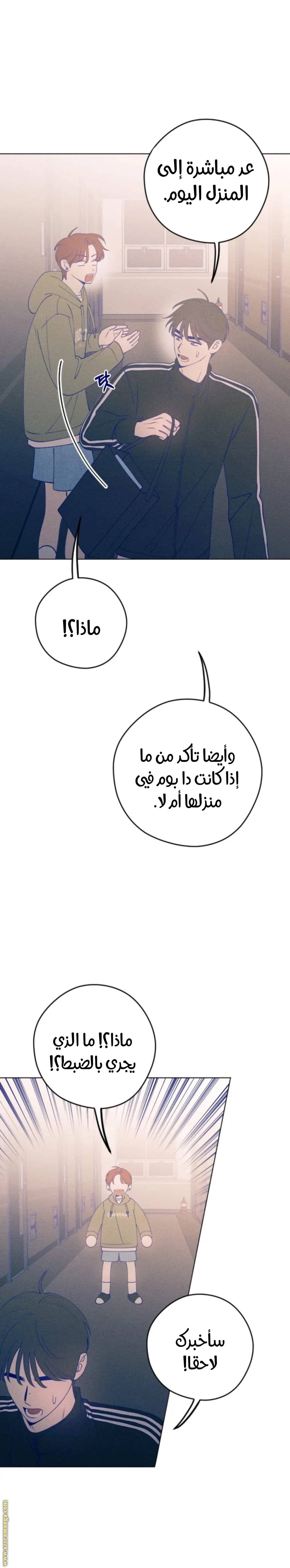 الصفحة 30
