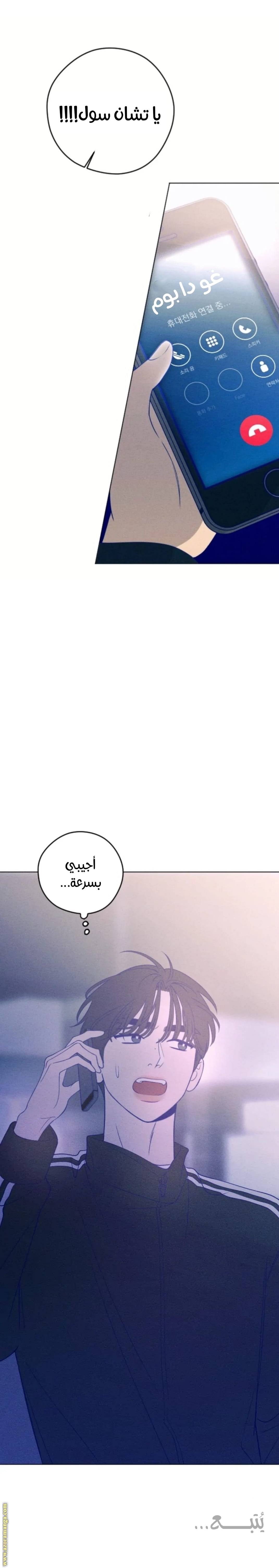 الصفحة 31