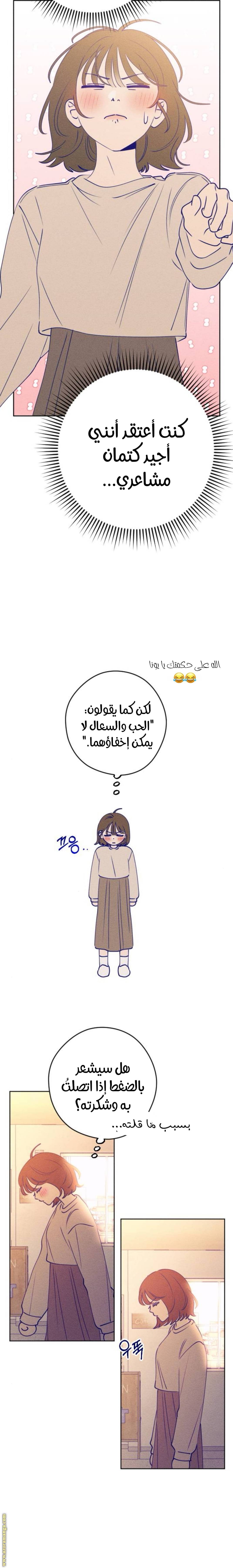 الصفحة 13