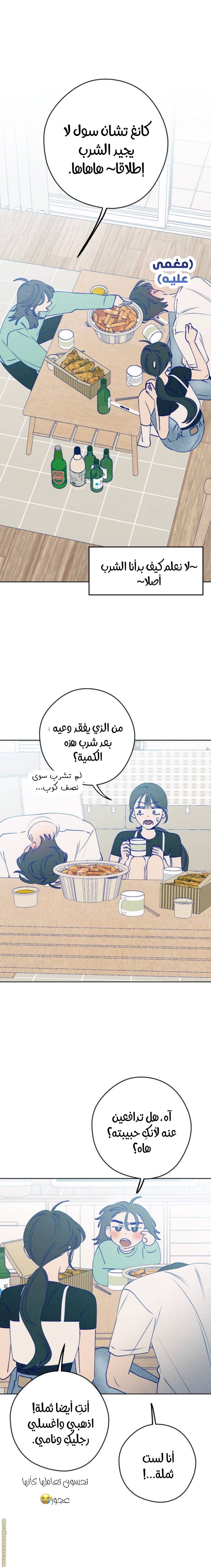 الصفحة 20
