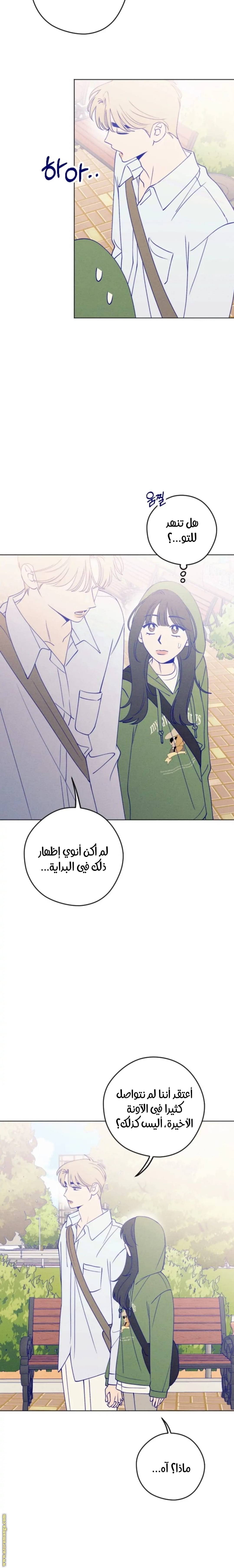 الصفحة 11