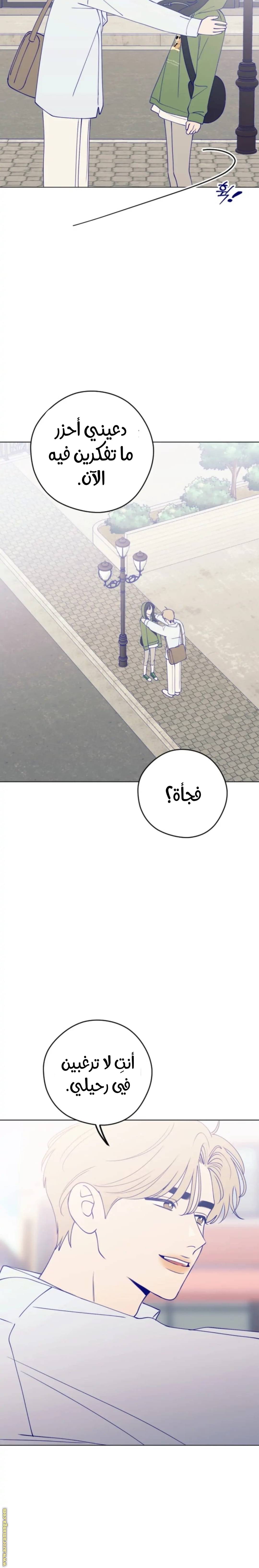 الصفحة 20
