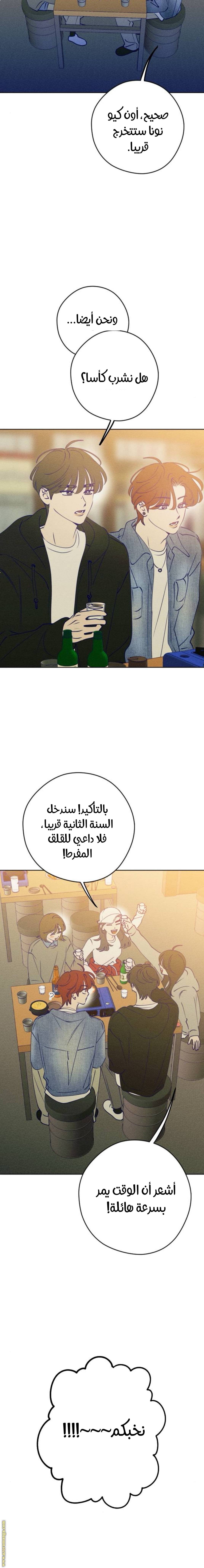 الصفحة 17