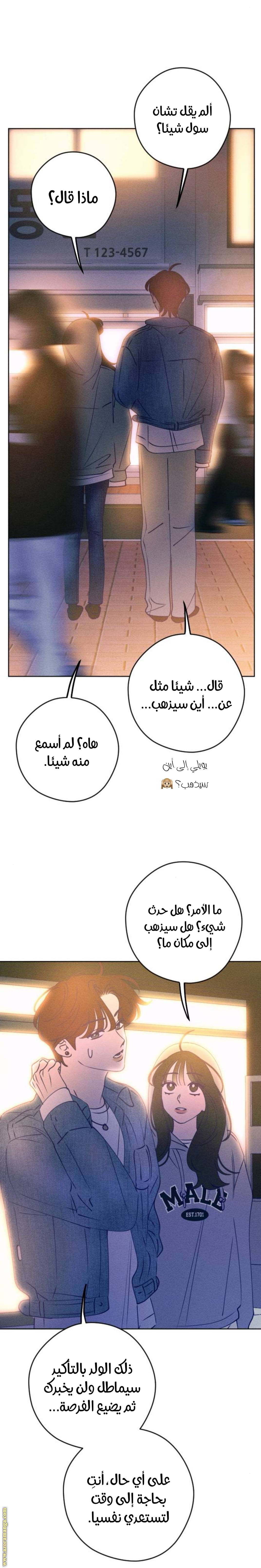 الصفحة 20