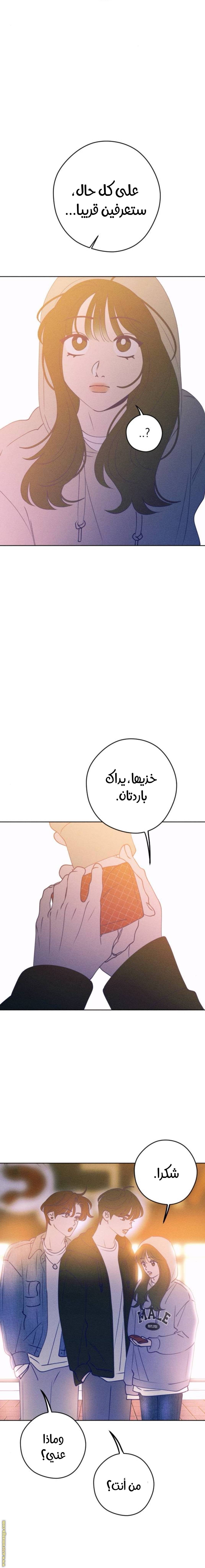 الصفحة 21