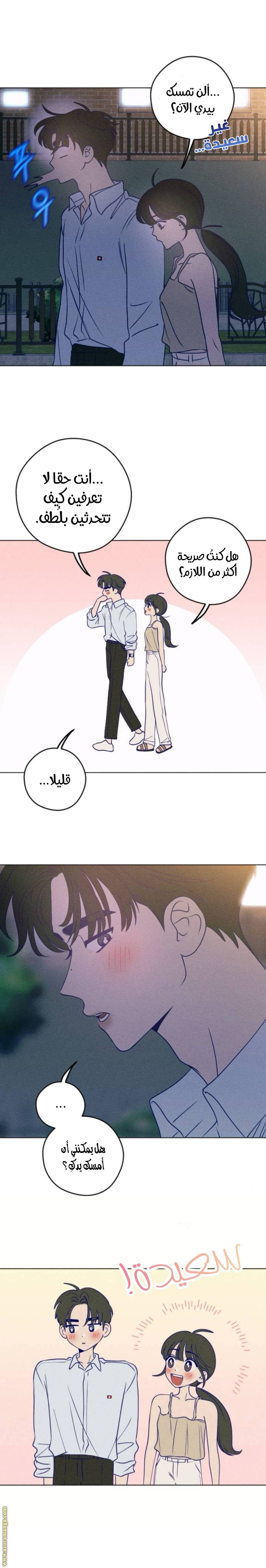 الصفحة 13