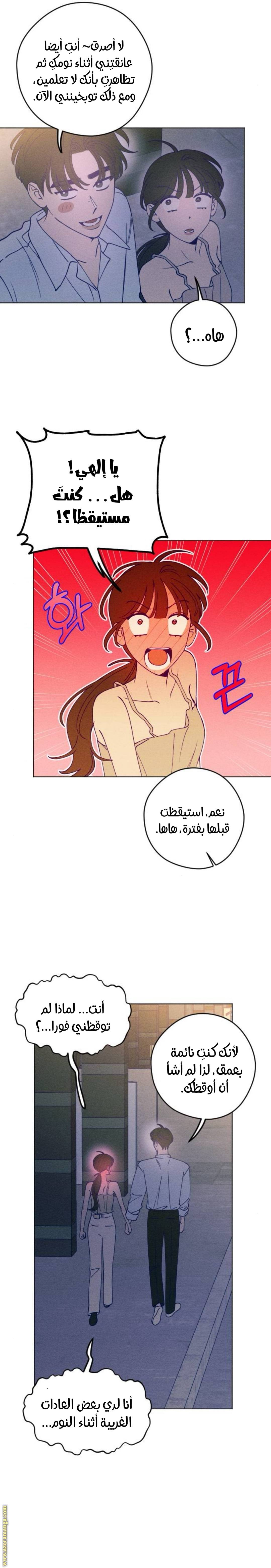 الصفحة 16