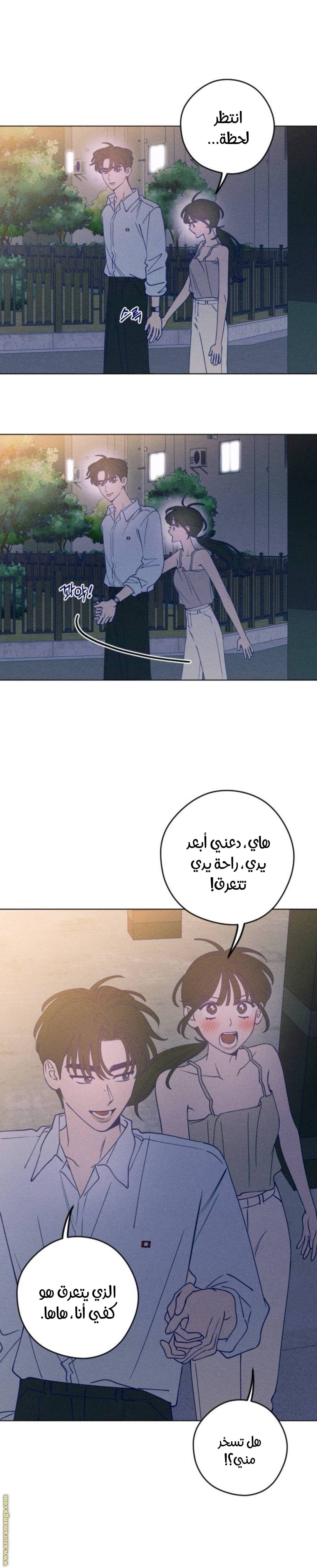الصفحة 17