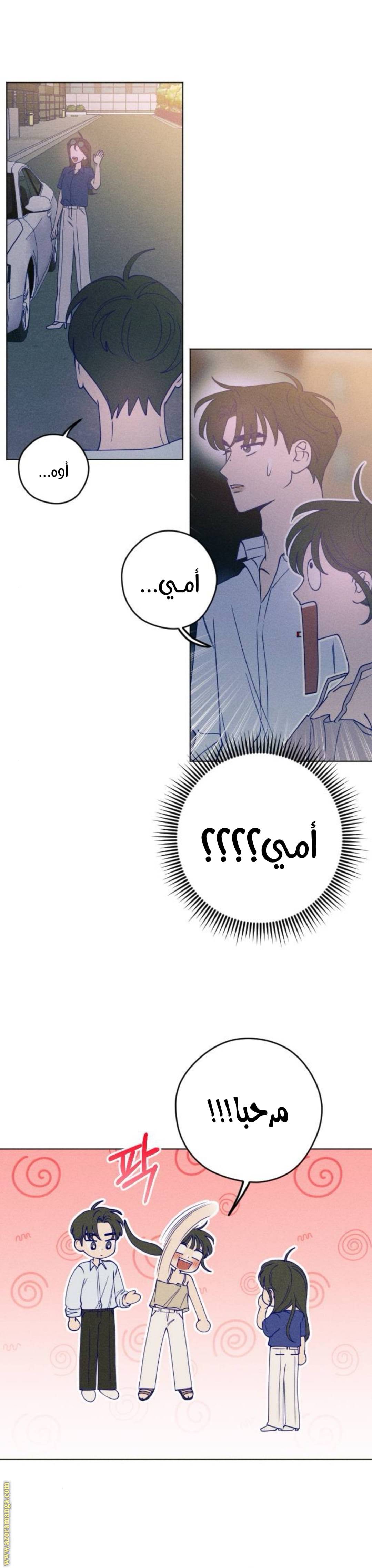 الصفحة 19