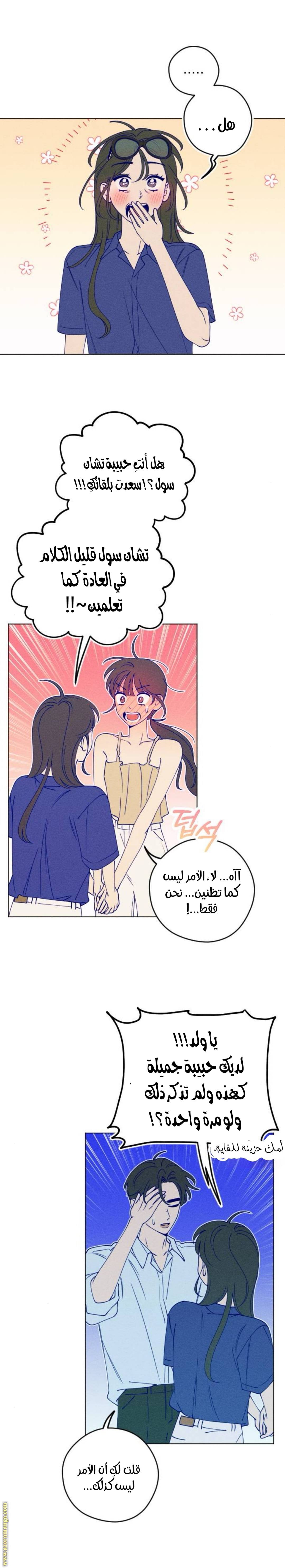 الصفحة 20