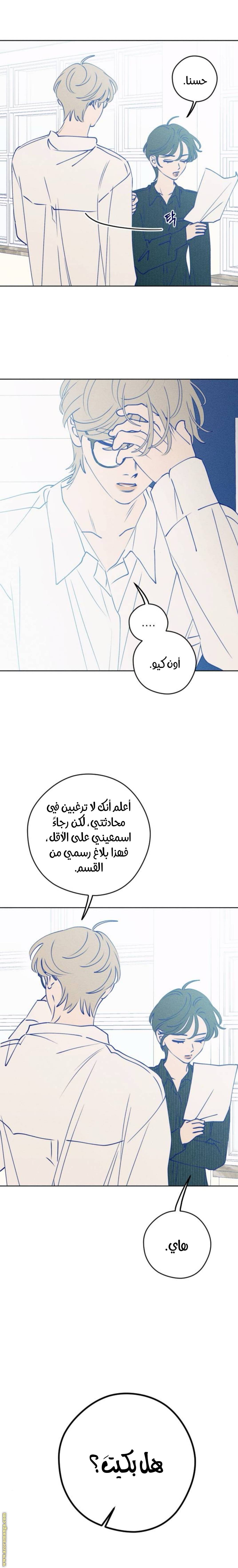 الصفحة 13