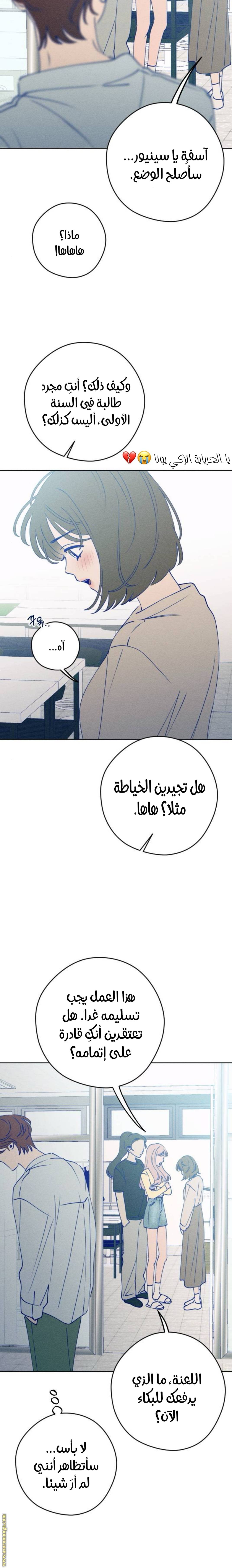 الصفحة 19